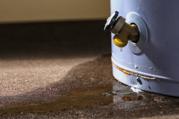 Best Fire Damage Restoration  in Canyon, TX